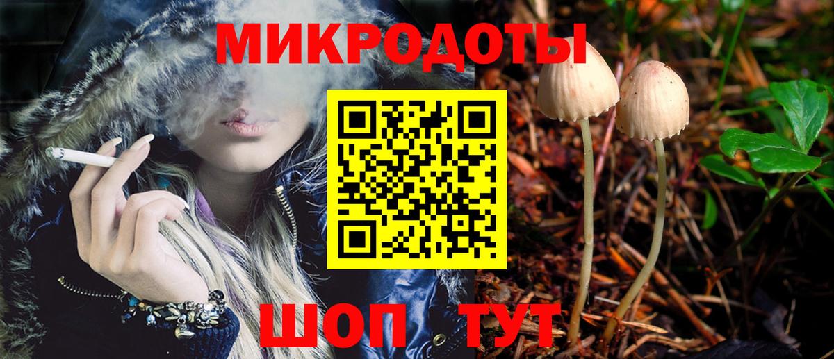 Псилоцибиновые грибы Cubensis  Псилоцибиновые грибы Magic Shrooms  закладки  Сальск  Вход с VPN 